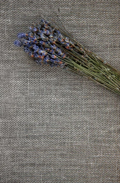 Dry Lavender Flowers Bouquet Old Rustic Linen Fabric Backgroun — Stock Photo, Image