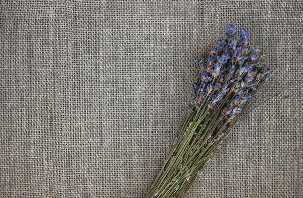 Dry Lavender Flowers Bouquet Old Rustic Linen Fabric Backgroun — Stock Photo, Image