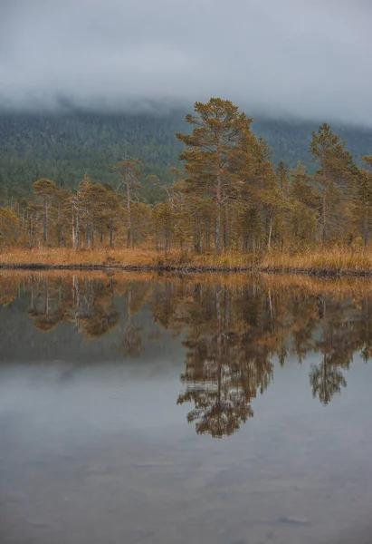 Surrealista Paisaje Brumoso Con Lago Bosque Nube Brumosa Azul —  Fotos de Stock