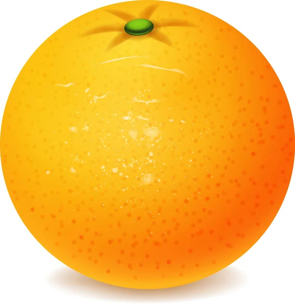 Realistyczny Świeży Dojrzały Owoc Pomarańczy Wyizolowany Biało Ilustracja Wektora — Wektor stockowy