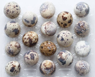 Plastik Konteyner üzerinde set bıldırcın yumurtası