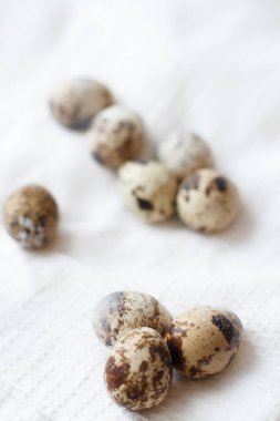 bıldırcın yumurtası beyaz kumaş üzerine