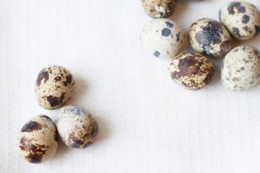 Beyaz arka planda bıldırcın yumurtaları.