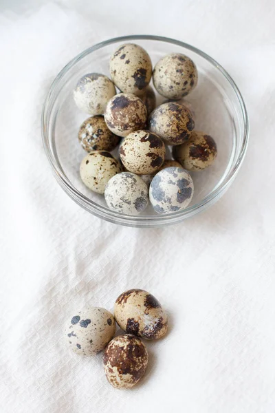 Beyaz Arka Planda Bıldırcın Yumurtaları — Stok fotoğraf