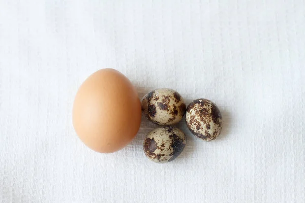 Huevos Quial Cerrar Arriba Huevo Chiken —  Fotos de Stock