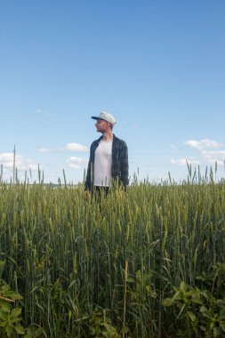 bir alanda yüksek çim adam