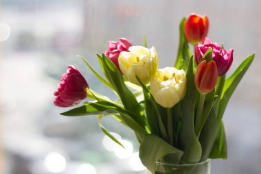 pencerenin önünde bir vazoda laleler