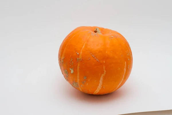 Grande Zucca Arancione Isolato — Foto Stock