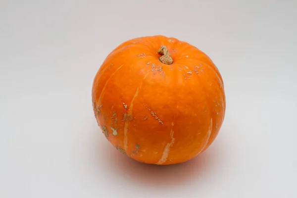 Grande Zucca Arancione Sfondo Bianco — Foto Stock