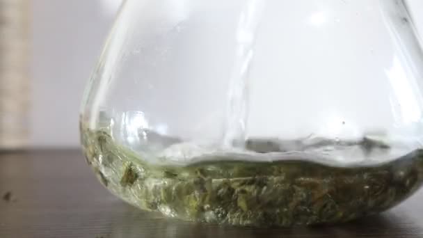 Vařit zelený čaj ve skleněné průhledné čajové konvice