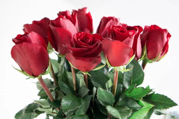 Bouquet Red Lush Roses Drops — Stock Photo, Image