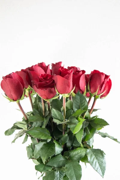 Bouquet Red Lush Roses Water Drops Glass Vase — Stock Photo, Image