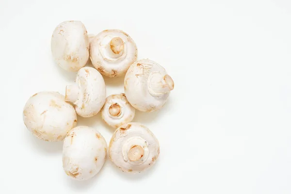 Group Fresh Champignon Mushroom White Background Top View Free Space — Stock Photo, Image