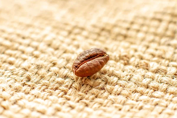 One Coffee Bean Burlap Background Soft Focus Brown Coffee Grain — Stock Photo, Image