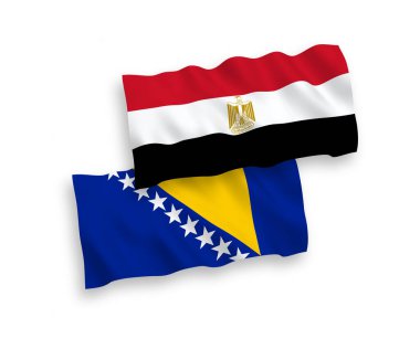 Bosna-Hersek ve Mısır 'ın ulusal taşıyıcı kumaş bayrakları beyaz zemin üzerinde izole edildi. 1 'e 2 oranında.