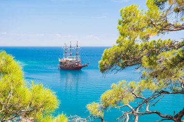 Near Kemer, Turkey pines ile yalı. Güzel yaz manzara