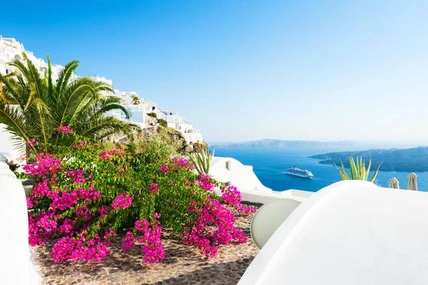 Hermosa Terraza Con Flores Rosadas Isla Santorini Grecia —  Fotos de Stock