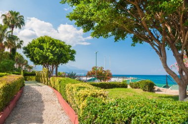 Kemer, Türkiye'de yeşil ağaçlar ile güzel sahil. Yaz manzara, seyahat ve tatil