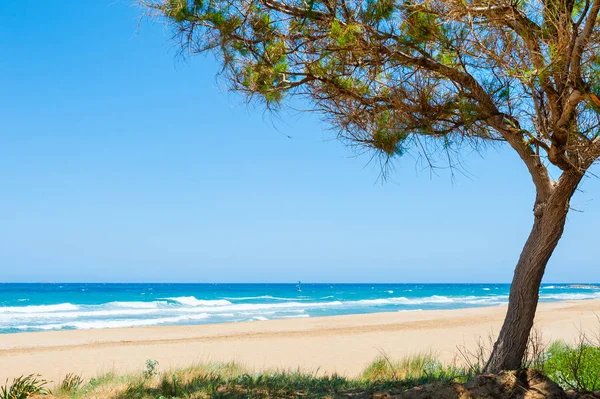Vacker Strand Med Turkost Vatten Vit Sand Och Träd Kreta — Stockfoto