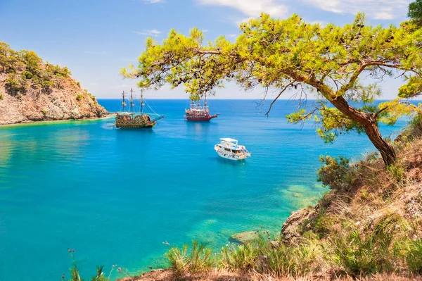 Paradise Bay Con Agua Turquesa Pinos Cerca Kemer Turquía — Foto de Stock