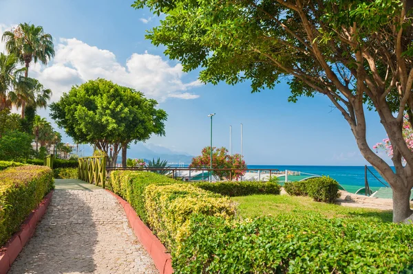 Belo Passeio Com Árvores Verdes Kemer Turquia Paisagem Verão Viagens — Fotografia de Stock