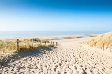 Sandy dunes Noordwijk, Hollanda üzerinde Kuzey Denizi kıyılarında