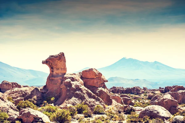 Rocas Desierto Meseta Altiplano Bolivia —  Fotos de Stock