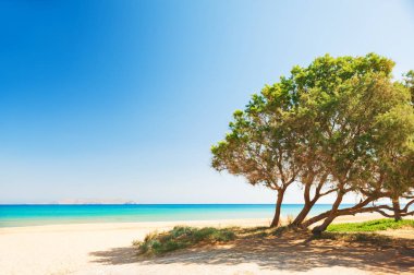 Güzel bir plaj turkuaz su adada Crete, Yunanistan.