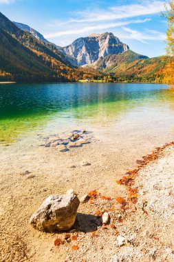Güzel Vorderer Langbathsee gölde Alp Dağları, Avusturya. Sonbahar manzara