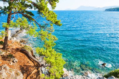 Yalı turquiose su ve pines near Kemer, Turkey. Güzel yaz manzara