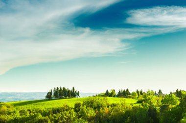 Yeşil alanlar ve Toskana, İtalya mavi gökyüzü. Güzel yaz manzara