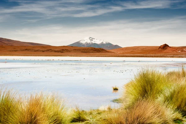 Laguna Gran Altitud Volcán Meseta Altiplano Bolivia — Foto de Stock