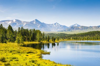 Güzel göl dağlarda. Altay Cumhuriyeti, Sibirya, Rusya Federasyonu