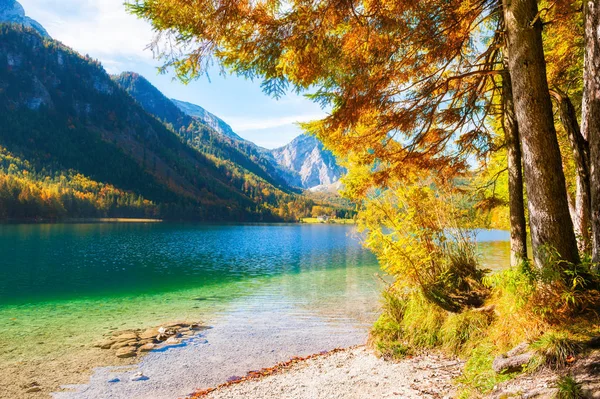 奥地利阿尔卑斯山 Vorderer Langbathsee 湖岸边五颜六色的秋树 — 图库照片