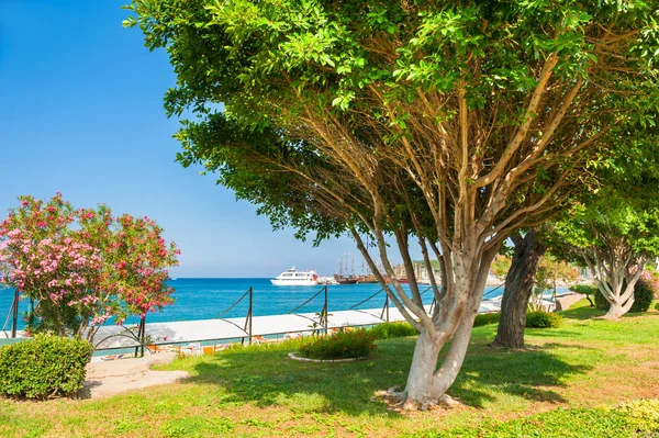 Hermoso Paseo Marítimo Con Árboles Verdes Kemer Turquía Paisaje Verano — Foto de Stock