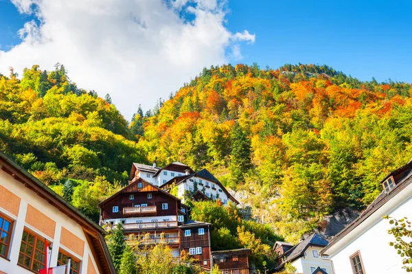 Houses Mountain Hallstatt Austria Beautiful Autumn Landscape — Stock Photo, Image
