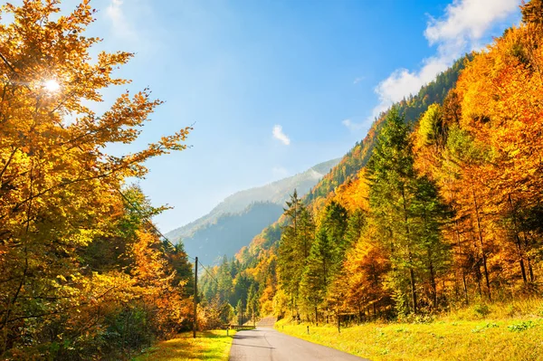 Estrada Montanhas Outono Alpes Áustria Bela Paisagem Outono — Fotografia de Stock