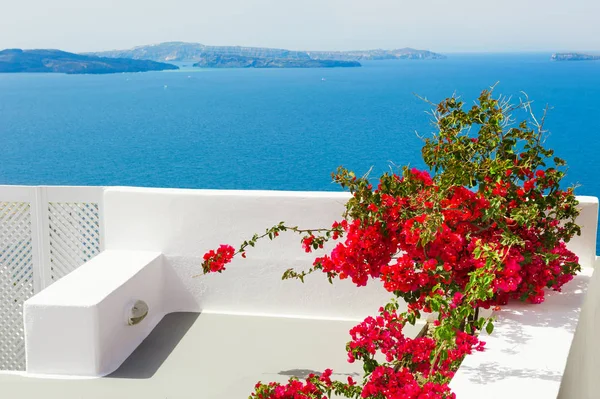 Arquitectura Blanca Isla Santorini Grecia Flores Rojas Terraza Con Vistas — Foto de Stock