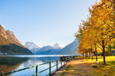 Sarı sonbahar ağaçlar Traunsee sahil göl kenarında. Avusturya Alplerinde Europe. Sonbahar manzara
