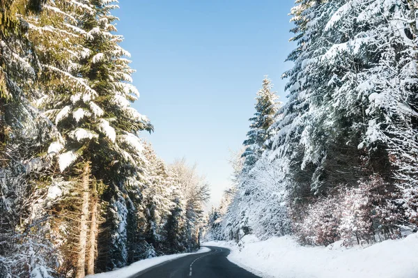 Estrada Inverno Com Árvores Cobertas Neve Linda Paisagem Inverno — Fotografia de Stock