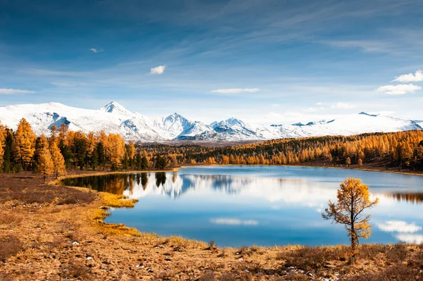 Kidelu Lake Snow Covered Mountains Autumn Forest Altai Republic Siberia — Stock Photo, Image