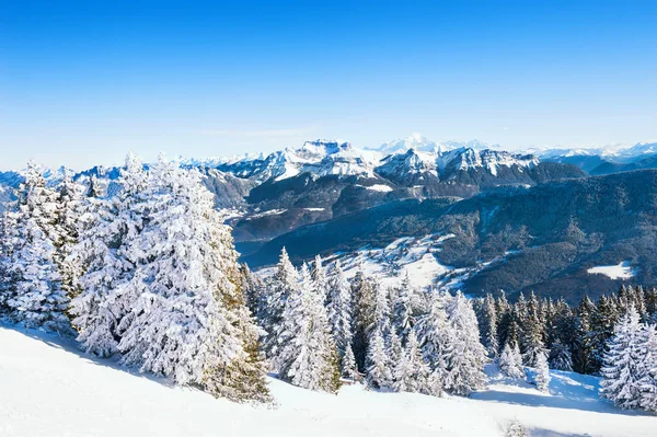 Pokryte Śniegiem Drzew Górach Grzbiet Mont Blanc Tle Alpy Francja — Zdjęcie stockowe