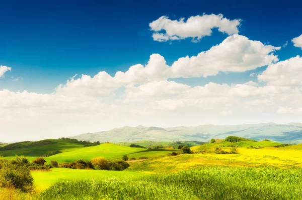Green Fields Blue Sky Tuscany Italy Summer Landscape — Stock Photo, Image