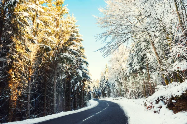 Winter Road Snow Covered Trees Beautiful Winter Landscape Vintage Filter — Stock Photo, Image