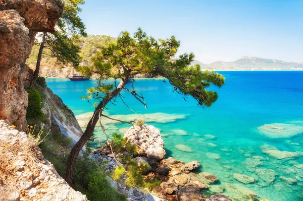 Hermosa Costa Marina Con Agua Turquesa Pinos Cerca Kemer Turquía — Foto de Stock