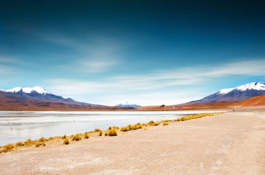 Yüksek irtifa Celeste lagün ile Altiplano Plato, Bolivya üzerinde pembe flamingolar. 