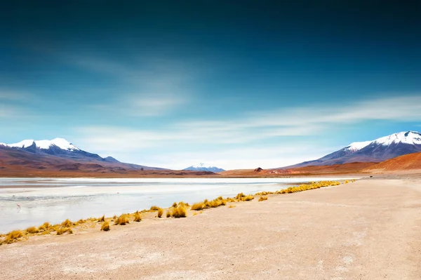 Höhenlagune Celeste Mit Rosa Flamingos Auf Dem Hochplateau Von Altiplano — Stockfoto