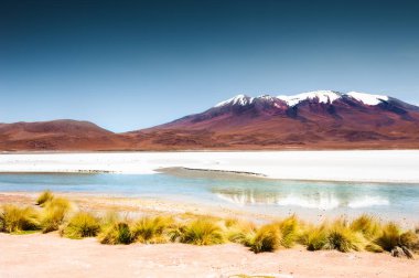 Yüksek irtifa Celeste lagün ile Altiplano Plato, Bolivya üzerinde pembe flamingolar.