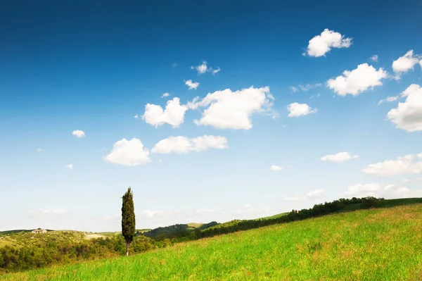 Grüne Felder Und Blauer Himmel Der Toskana Italien Sommerlandschaft — Stockfoto