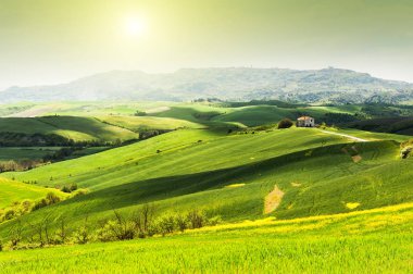 Güzel yaz manzaraları Toskana, İtalya. 